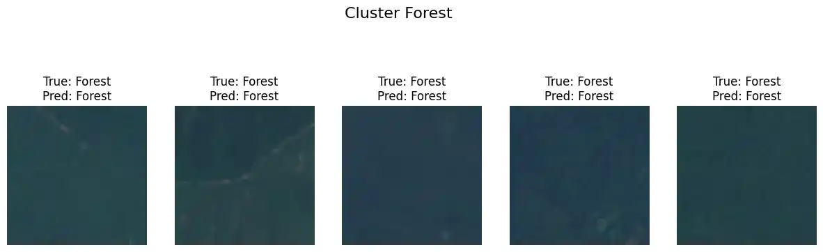 Cluster Forest