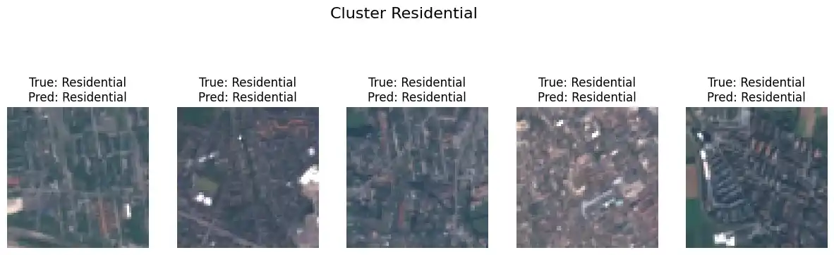 Cluster Residential